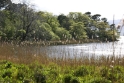 Mansion grounds Ireland 2